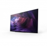 Телевизор Sony KD48A9