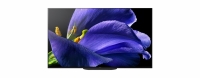 Телевизор Sony KD-55AG9