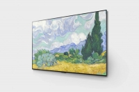 Телевизор LG OLED55G1
